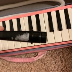 あげます、メロディオンの画像