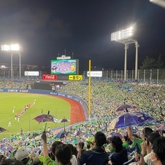 ヤクルトスワローズの応援友達募集