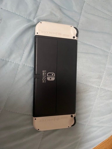 本日限定SwitchEL版