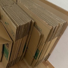 引越し用ダンボール