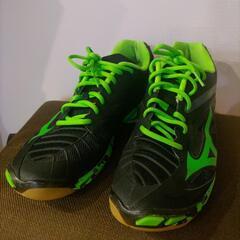 【美品】mizunoバレーボールシューズ 27.0の画像