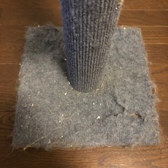 ネコちゃん爪研ぎの画像
