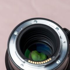 ニコン NIKKOR Z 70-200mm f/2.8 VR Sの画像