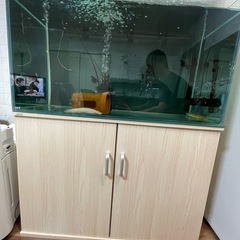 福岡県の90cm水槽の中古が安い！激安で譲ります・無料であげます