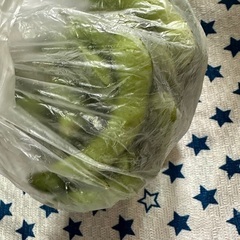 枝豆