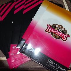 バスケTeams　クリアファイル