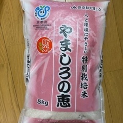 【完売】ラスト1点！早い者勝ち✨🌾令和5年度☆新米・精米済み　ヒ...