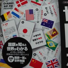 子ども学習用　国旗カルタ　将棋の画像