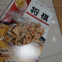 子ども学習用　国旗カルタ　将棋の画像