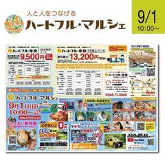 メダカ販売