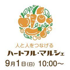 メダカ販売の画像