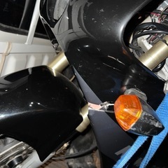 kawasaki ZXR250(1990)の画像