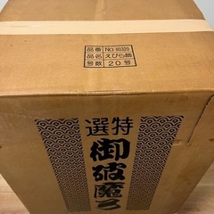 破魔の矢・5月人形の画像