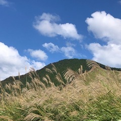 山登り、ハイキング、登山、ウォーキング - 友達