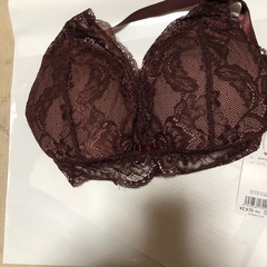 大きめのブランド＆ショーツのセットですの画像