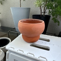 ②テラコッタの植木鉢（底穴あり）
