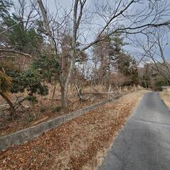 貸土地/山林/2026㎡/奈良県奈良市生琉里町　 - 土地販売/土地売買