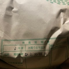 鳥取県産大前さん令和7年新米コシヒカリ玄米10kg
の画像