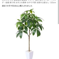 観葉植物 フェイクグリーン 人口
