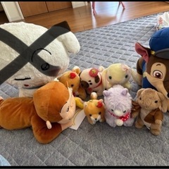 決まりました！ぬいぐるみの画像