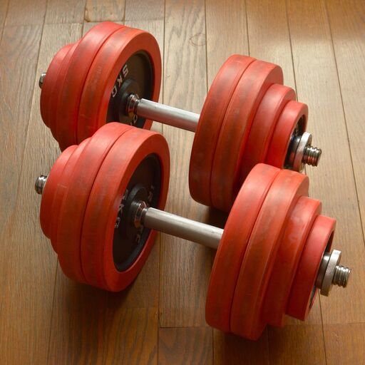 IROTEC（アイロテック） ラバー ダンベル 60KG セット （片手30kg×2個）中古