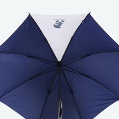 値下げしました【紺色の傘 ディズニー】の画像