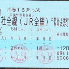 青春18切符(2回分)