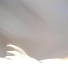 RALPH LAUREN GOLF 紳士パンツ Mサイズ TJ6991の画像