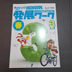 チャレンジ　国語算数発展ワーク三年生
