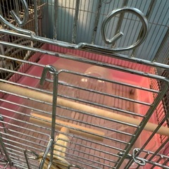 インコ用ケージの画像