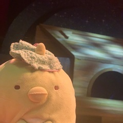 すみっコぐらし、ぬいぐるみが好きな方