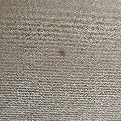 タイルカーペット　ブラウン　12枚の画像