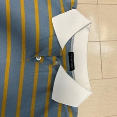 クロップド丈の
ポロシャツの画像
