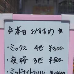 めだか無人販売所🐟本日のおすすめ👀✨めだかパックご購入の方に限り...