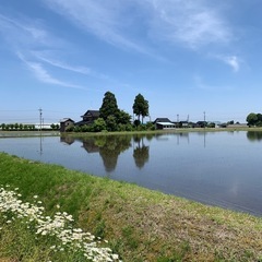8/31(土)開催♪真のお友達づくり❗️オフラインカフェ会&交流会🌱