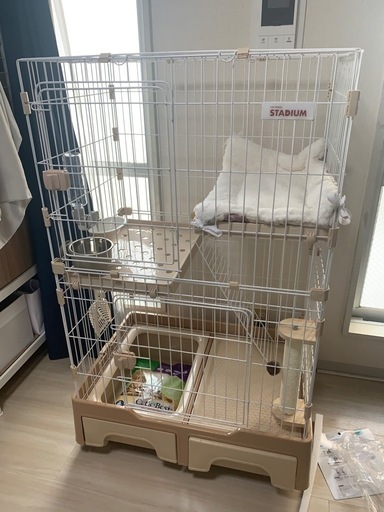 猫ちゃんお迎えセット