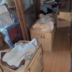 主にLeilian 婦人服どれでも1着の価格