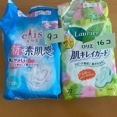 生理用ナプキン　１００個セットの画像