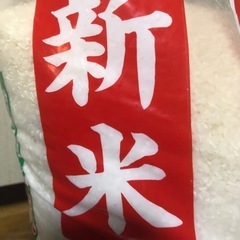 新米　10k