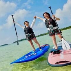 世界自然遺産「やんばる」のマンゴーオーナー募集中！！ − 沖縄県