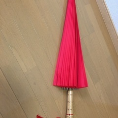 和傘  66cmの画像