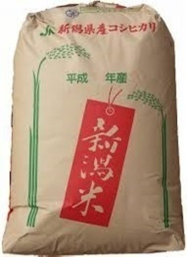 割引あり　米　新潟県産　コシヒカリ　10キロ　