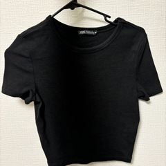 ショート丈Tシャツ