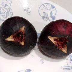 完熟イチジクの画像