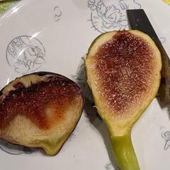 完熟イチジクの画像