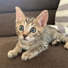 かわいい男の子😽