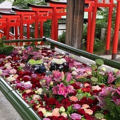 ⭐️まずは参加してみて❗️9/16、9/28オフ会あり❗️⭐️ひ...