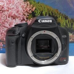 【極上美品】Canon Kiss X2 EF-S 18-55mm レンズセットの画像