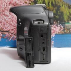 【限定１点】Canon EOS Kiss X4 + ULTRASONICレンズの画像