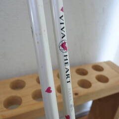 【KSD/Toi/25】VIVA HEART ビバハート・レディースアイアン 9番＆SW 2本セット Flex L ユースドの画像